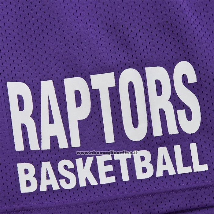 Pantaloncini Toronto Raptors Mitchell & Ness Hardwood Classics Viola